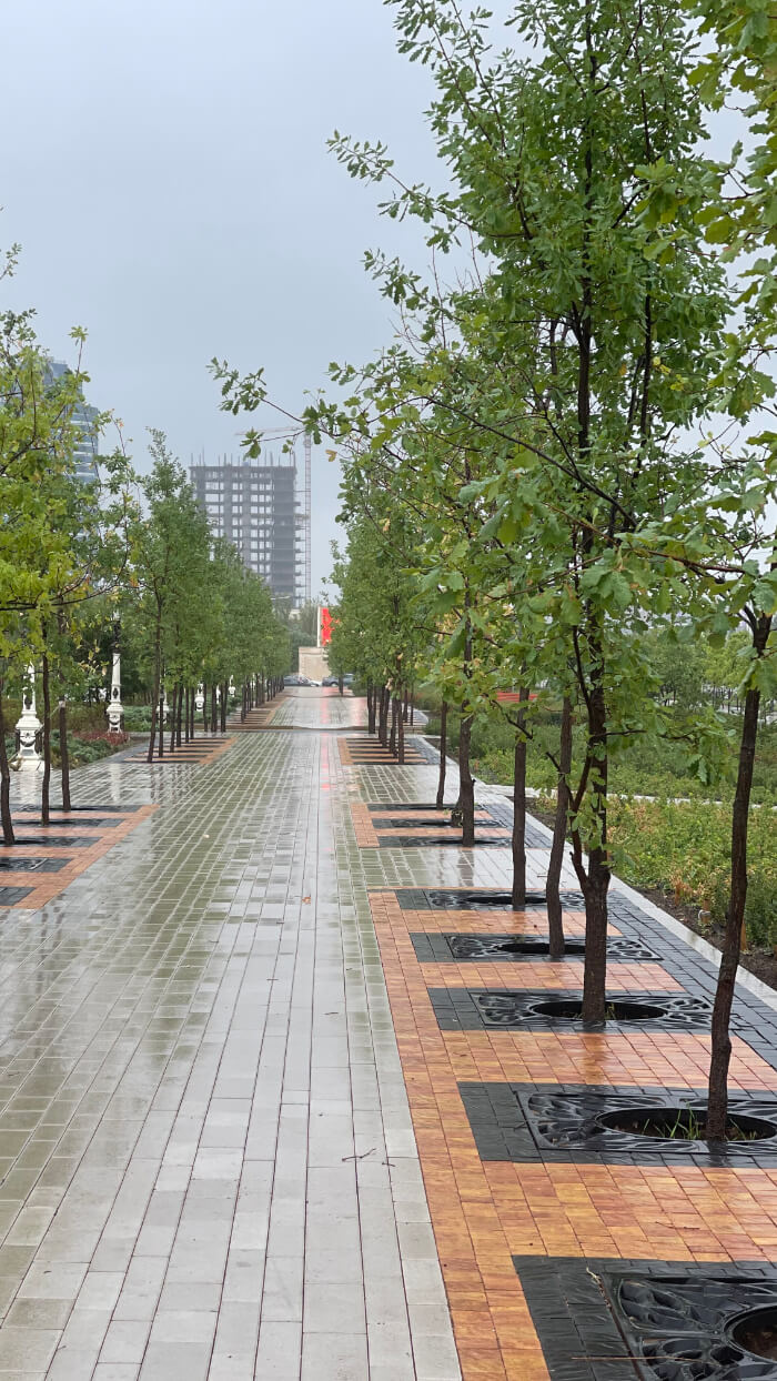 Приствольная решетка для дерева ZKING CRUST 1.2х1.2м Черная в Севастополе фото